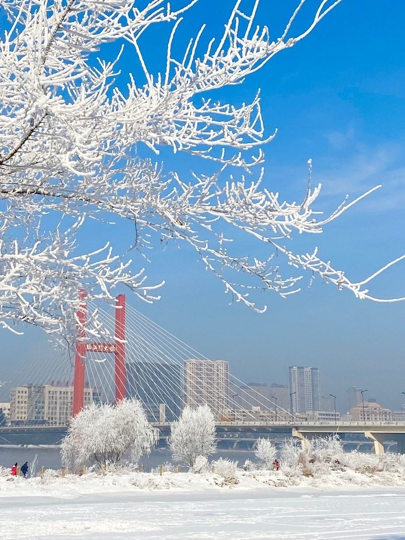 吉林，探寻历史足迹，品味文化底蕴，见证发展变迁