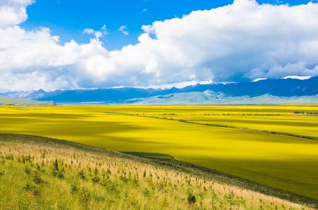 探寻青海之美，心之所向的旅行足迹